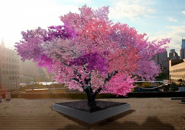 L'albero che produce 40 diversi tipi di frutta