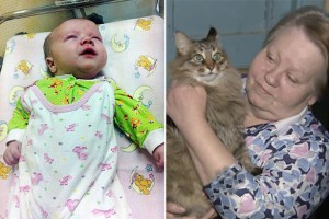 Russia. Masha, la gatta salva il neonato abbandonato
