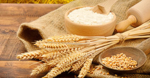 9 motivi per non mangiare il grano