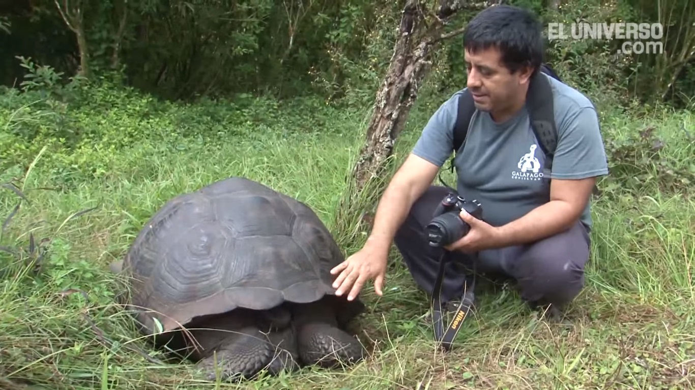 Italiana scopre nuova specie tartaruga (Video)