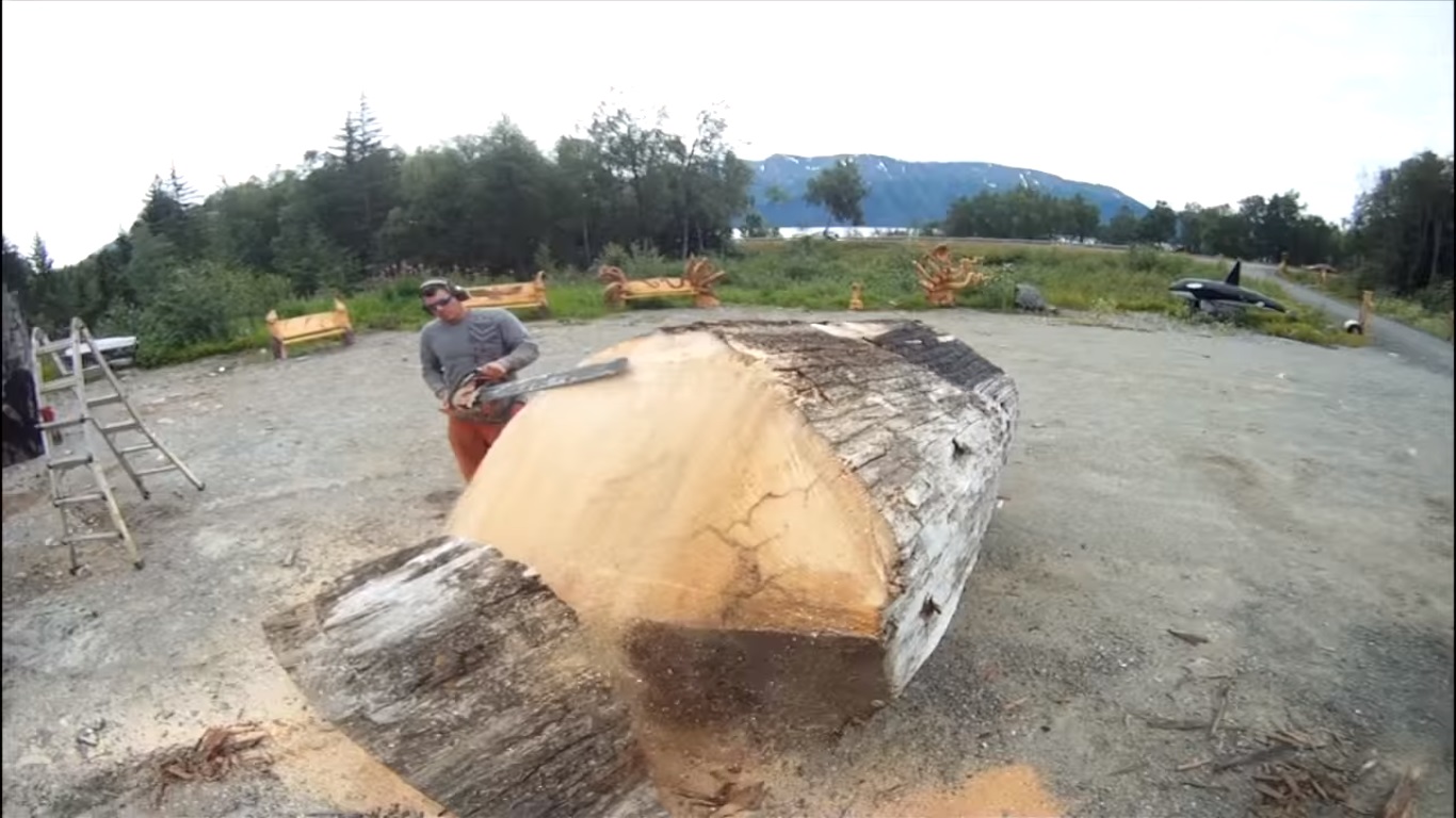 Inizia a tagliare il tronco: Il risultato è un capolavoro (Video)