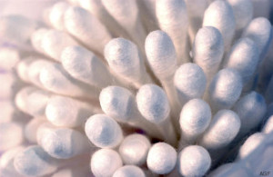 FOTO: Numerous cotton buds.