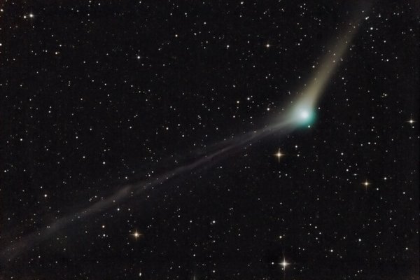 Catalina la cometa di Natale è già visibile all'alba (VIDEO)