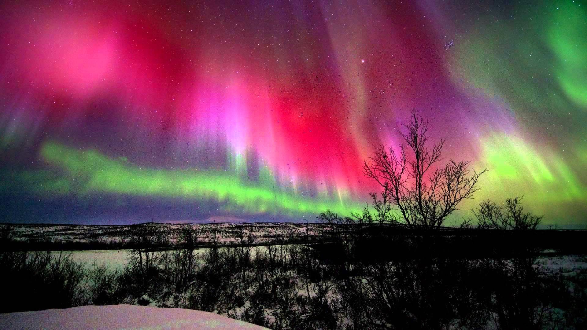 Lo spettacolo mozzafiato dell'aurora boreale