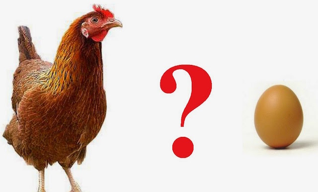 È nato prima l'uovo o la gallina? Un professore ha la risposta