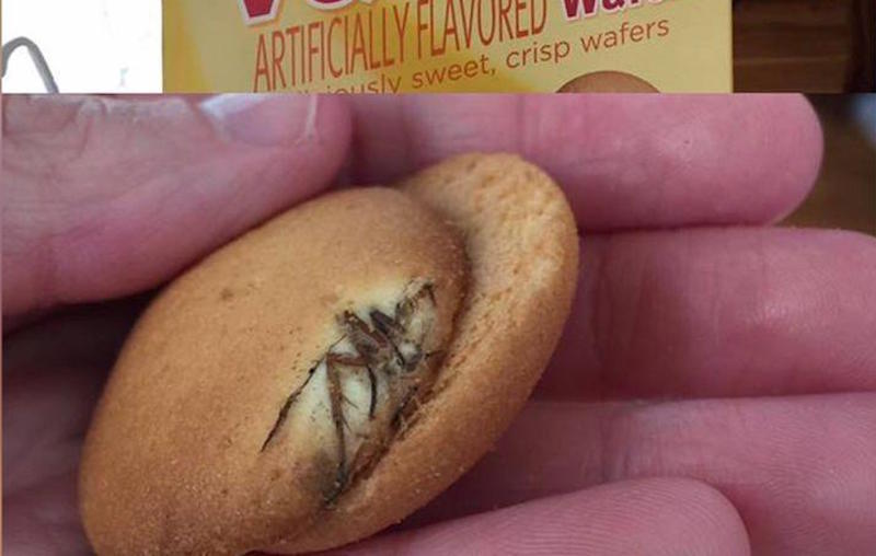 Trova un ragno cotto nei biscotti. 'La risposta dell'azienda è offensiva'