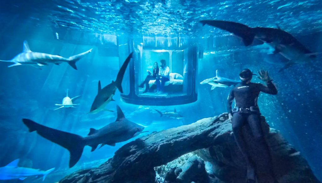 AirBnb vi farà dormire gratuitamente sott'acqua circondati da squali