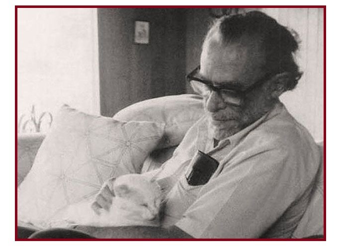 Lo diceva anche Bukowski Vivere con un gatto ti migliora la vita