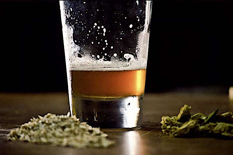 Fa più male la marijuana o l’alcol? Arriva la risposta della scienza